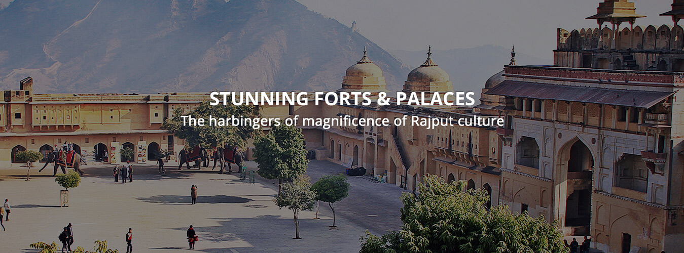 Stunning Forts