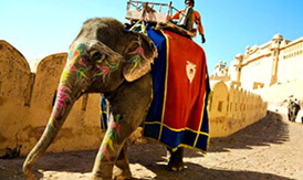 Amer Fort Jaipur